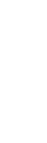 たつおポートフォリオ
